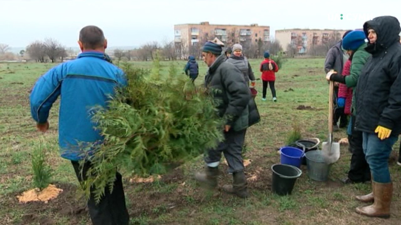 Парк із понад 700 саджанцями дерев створили у Білопіллі