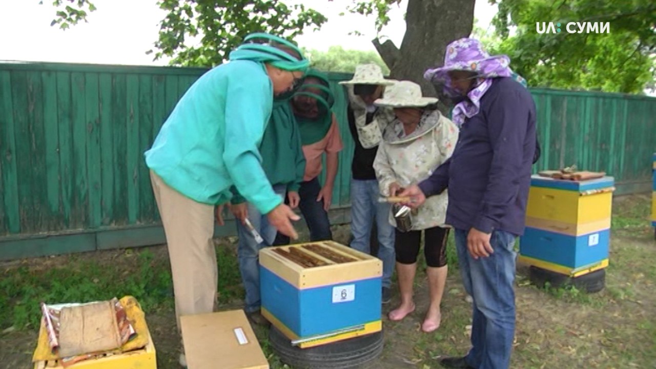 На Сумщині почали готувати професійних бджолярів