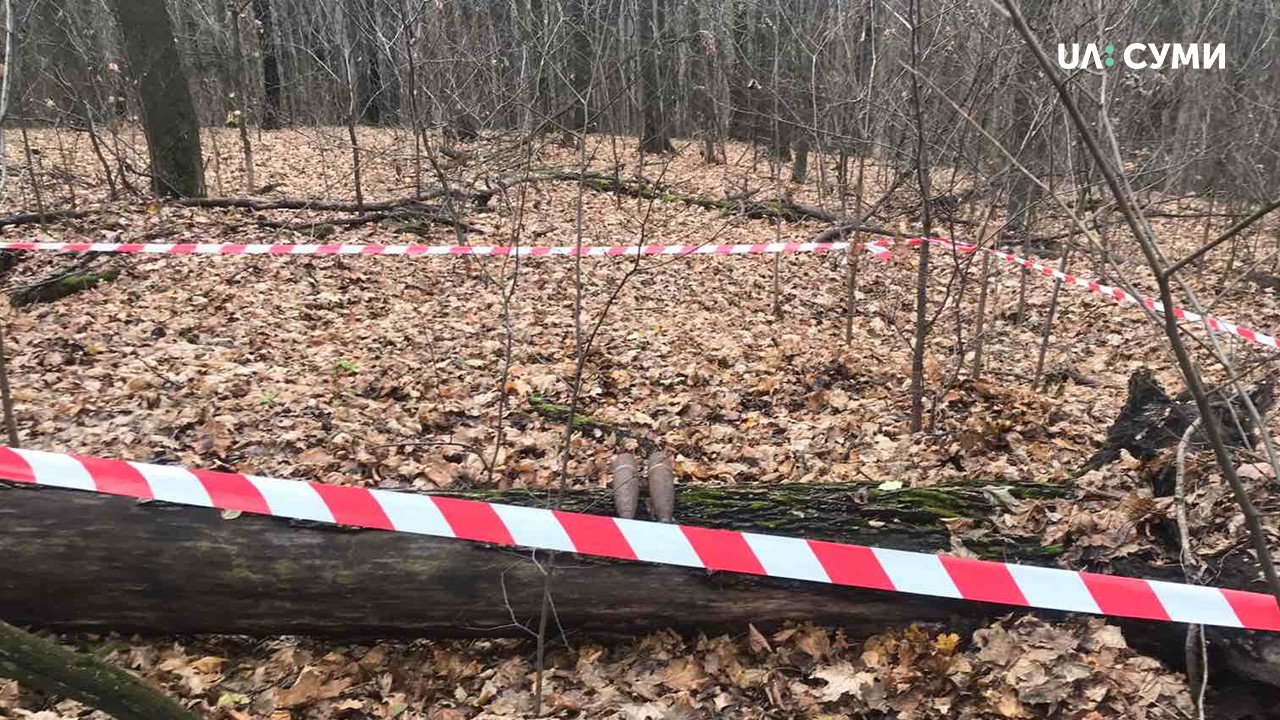 Два артилерійських снаряди знайшли у лісі на Сумщині 